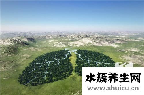 肺部纖維化能活多久