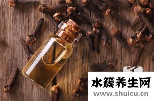 公丁香的功效與作用