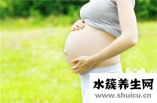 卵黃囊和胎芽的關(guān)系