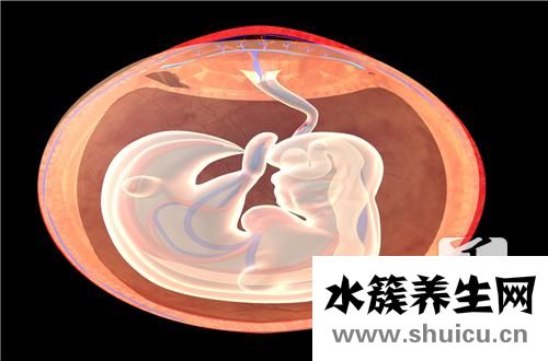 胎盤(pán)前壁和后壁的區(qū)別