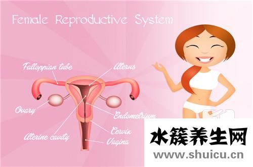 輸卵管積液怎么治療