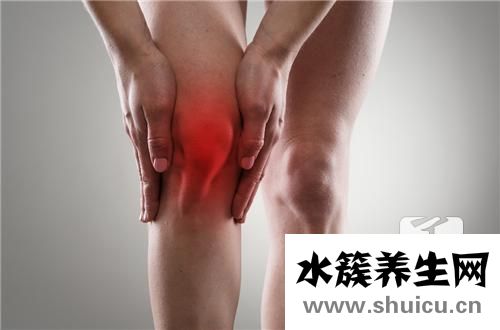 抗環(huán)瓜氨酸肽抗體