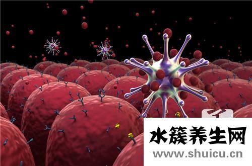 巨細(xì)胞病毒感染癥狀