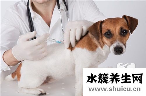 狂犬病的主要表現(xiàn)