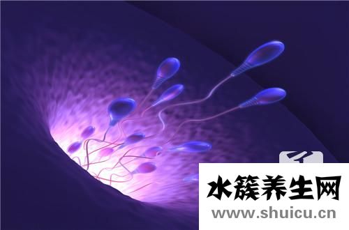 輸尿管鏡碎石術(shù)