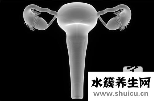 中心靜脈導管包