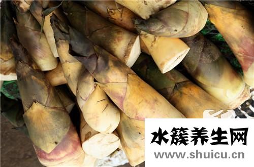 干竹筍怎么泡發(fā)