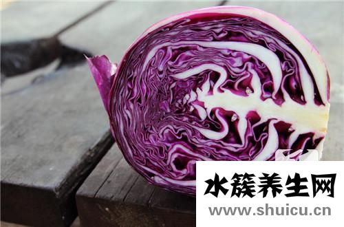 甘藍和包菜的區別