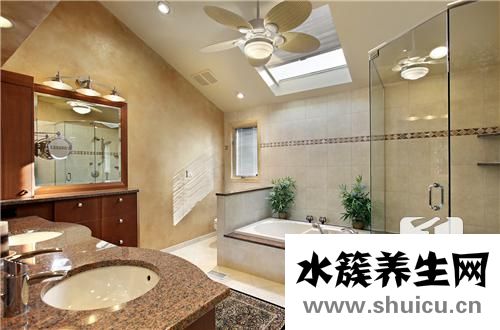 衛生間放什么植物最好