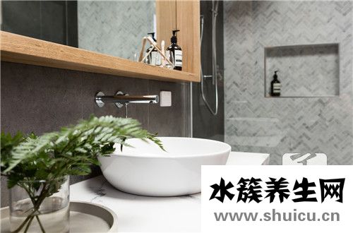 衛生間放什么植物最好