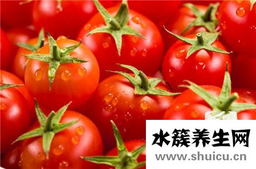 西紅柿什么時候吃最好