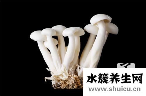 海鮮菇的家常做法