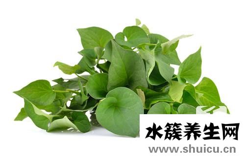 魚腥草泡水喝的功效