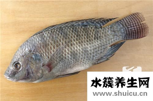 巴沙魚做法