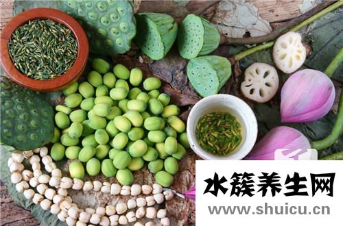 蓮蓬的功效與作用