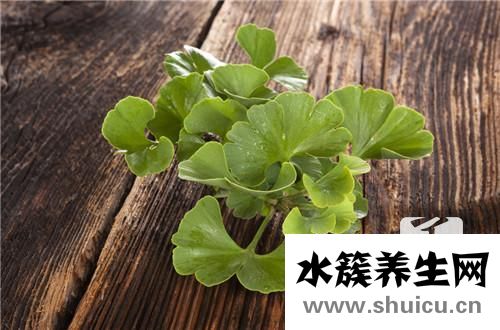 銀杏蜜環口服溶液