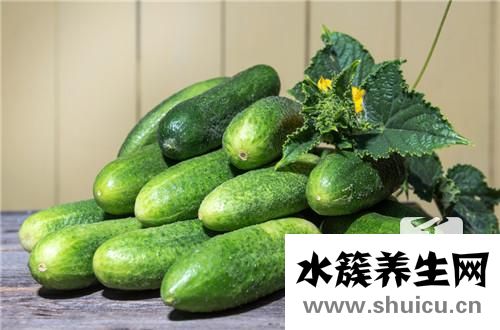 黃瓜籽粉的功效與作用