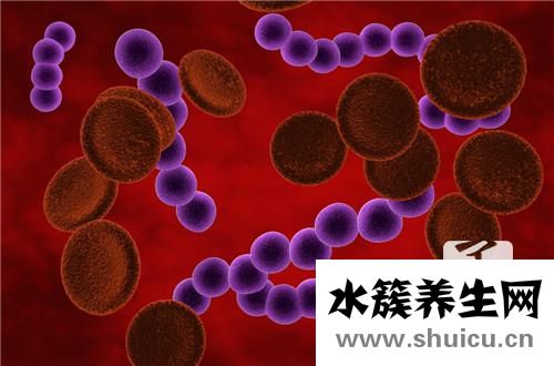 革蘭氏陰性桿菌