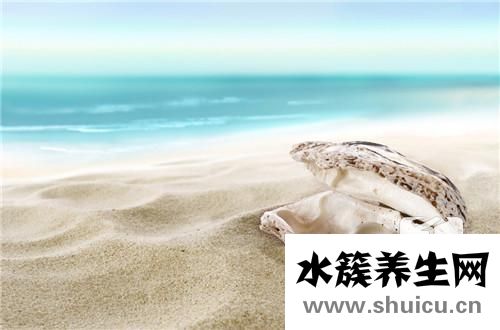 珍珠母的功效與作用