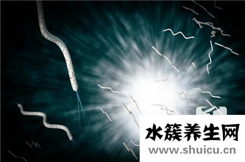 革蘭氏陰性桿菌