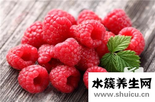 蔓越莓干的功效與作用