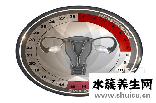 卵泡多大可以受孕