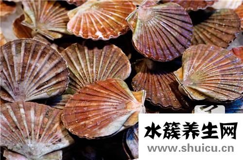 蛤蜊的營(yíng)養(yǎng)價(jià)值