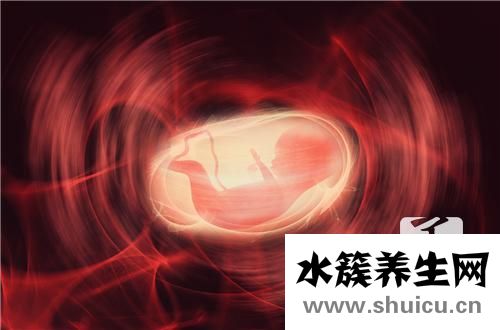 胎兒頸部可見u型壓跡