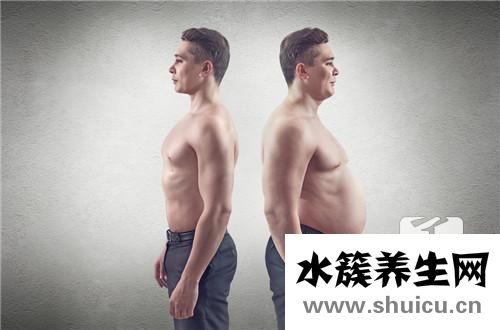 腰部贅肉怎么減