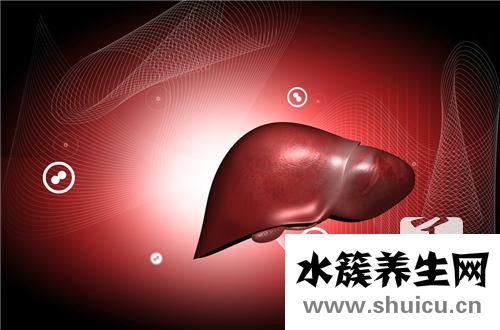 養肝的食物有哪些