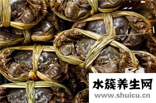 陽澄湖大閘蟹做法
