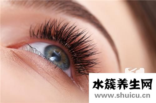 種植眼睫毛