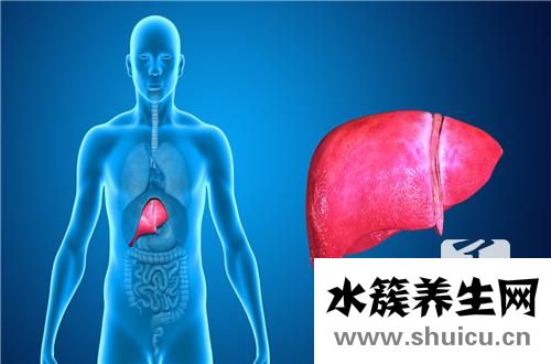 谷草轉(zhuǎn)氨酶是什么