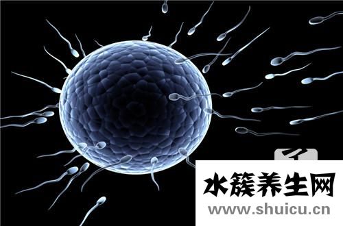 多長時間有胎心