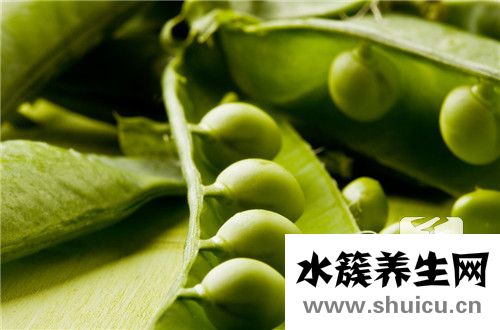 五谷中的菽是指