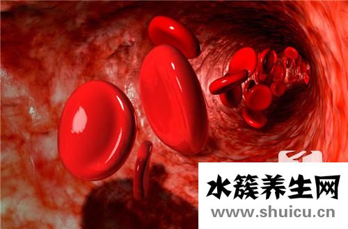 氣血虛怎么食補