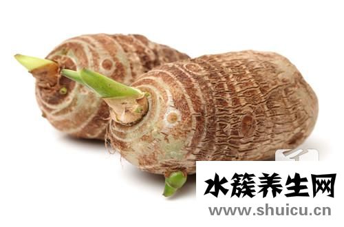 堿性食物都有哪些