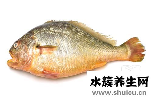 燉魚頭湯
