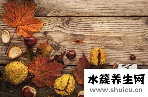 孕婦能吃栗子嗎