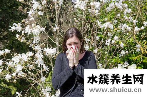 過敏性鼻炎中醫(yī)治療