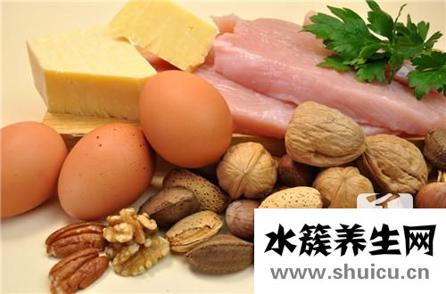 蛋白質減肥法食譜