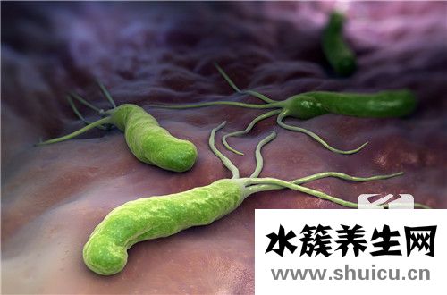 幽門螺桿菌抗體陽性