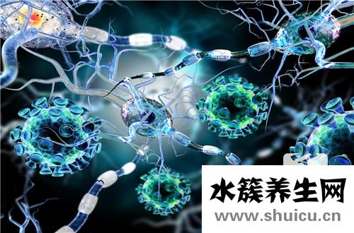 動(dòng)脈血管硬化