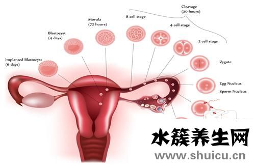 排卵期出血能同房嗎