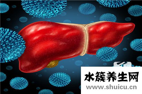 什么是乙肝病毒攜帶者