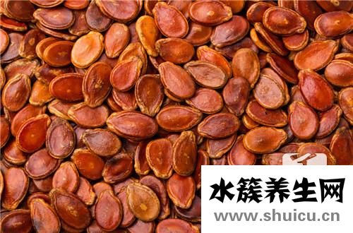 刺五加籽的功效與作用