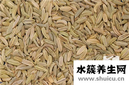 刺五加籽的功效與作用