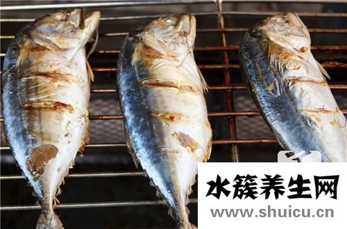 金槍魚刺身