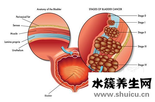 癌胚抗原正常值