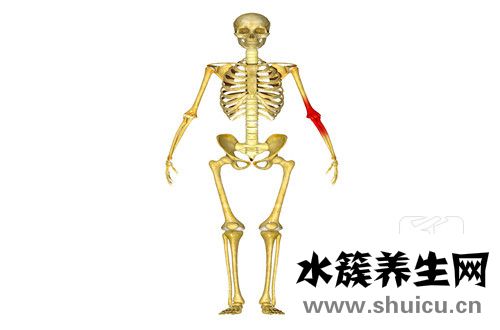 髖關節(jié)脫位